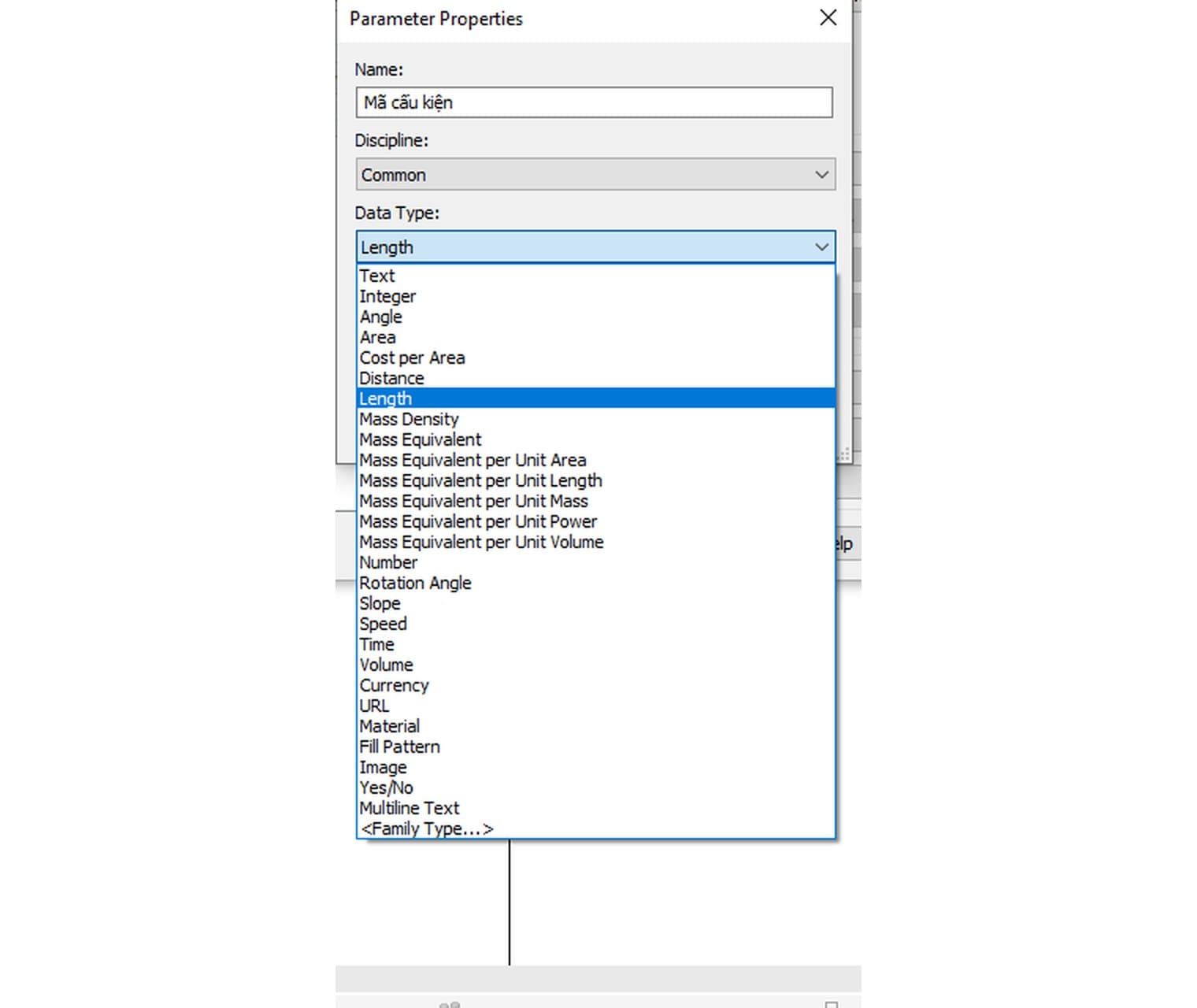 Danh sách Data Type của nhóm Common trong Revit 2027