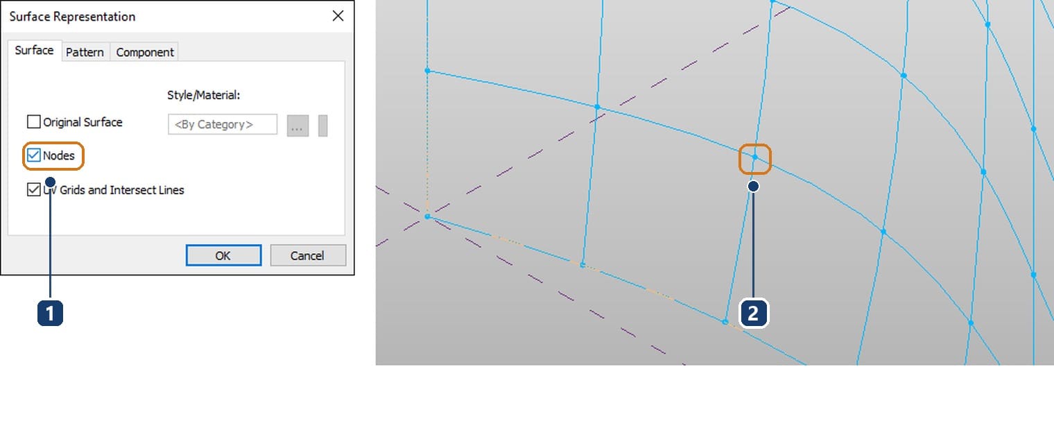 1 Nodes ticked in Surface Representation. 2 grid nodes shown as dots