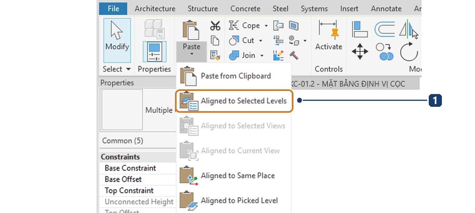 1 lệnh Aligned to Selected Levels trong menu Paste