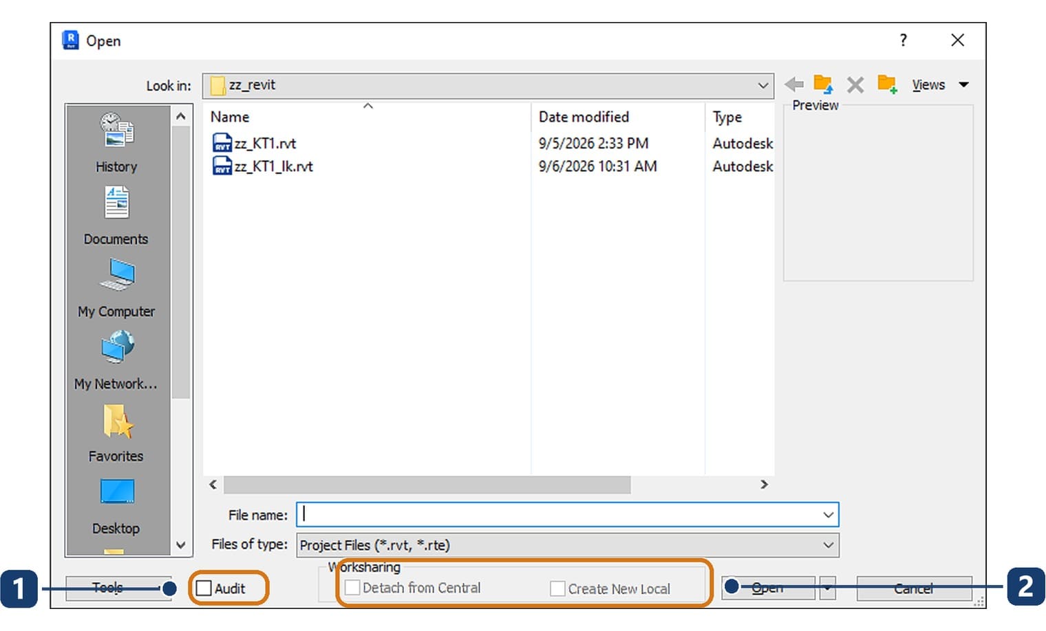 The Open dialog with the Audit box
