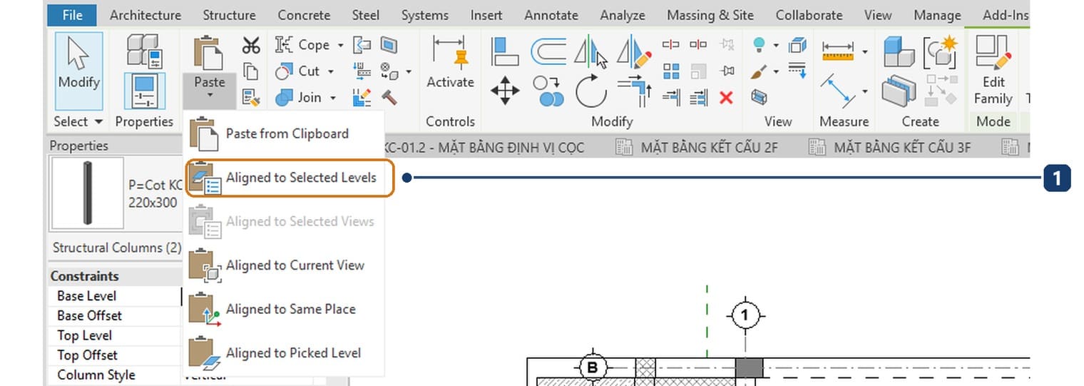 1 the Aligned to Selected Levels entry in the Paste menu