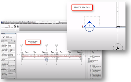 Tool Revit Structure: Detailed Crossed Section